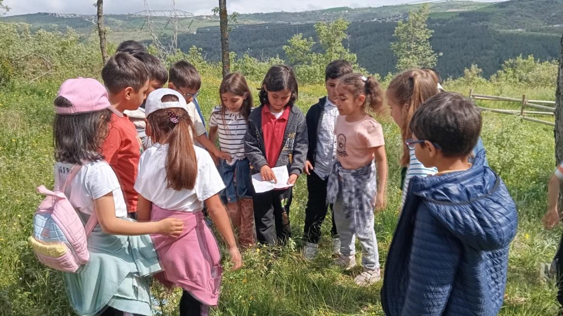 Doğa Gezisi ve Yürüyüşleri